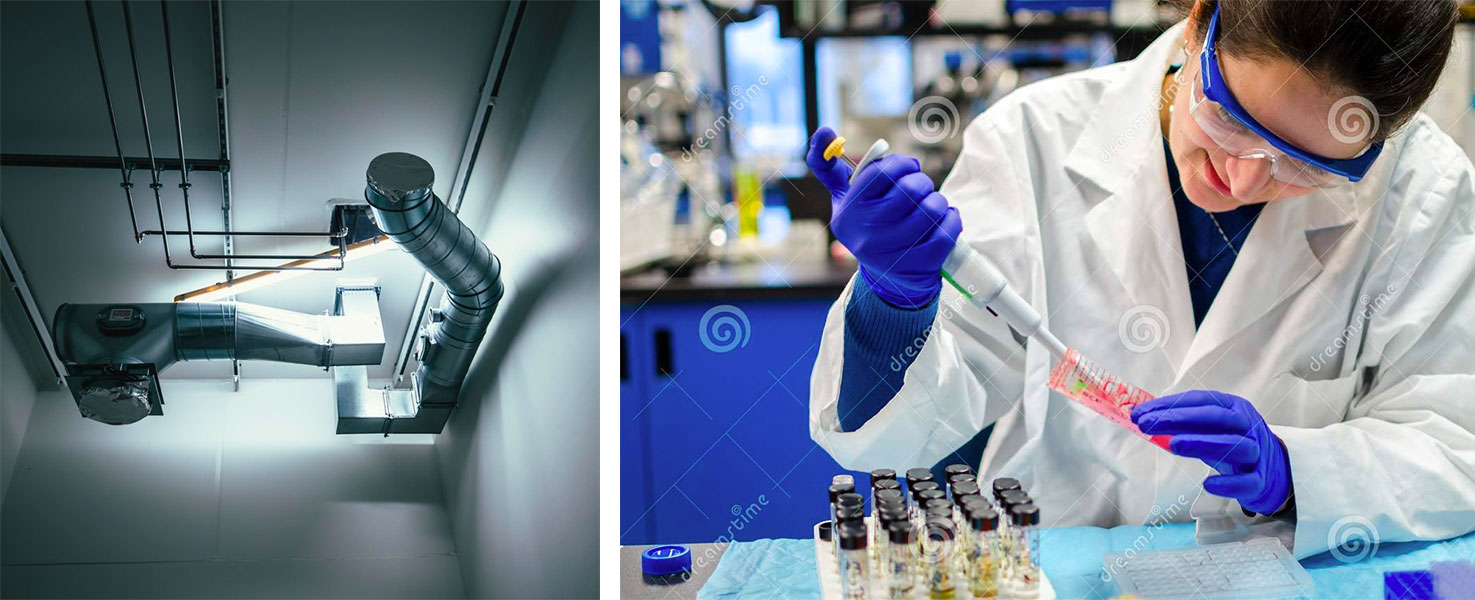 The Anne McLaren Building